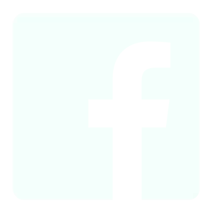 facebook-brands.webp